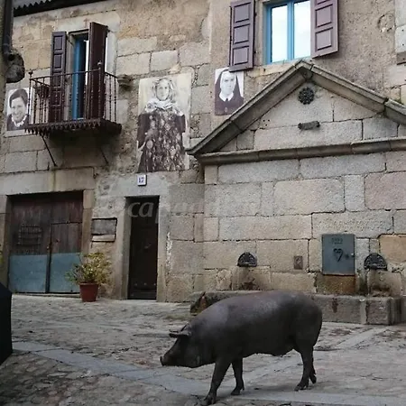 Casa Rural Amparo * Mogarraz