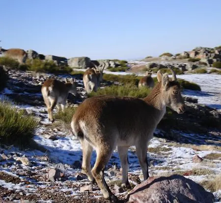 Lantställe Casa Rural Amparo *
