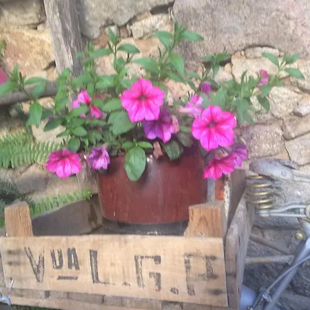 Casa Rural Amparo * Mogarraz