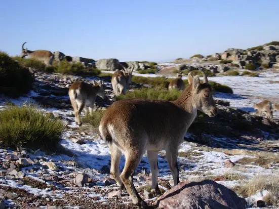 컨트리하우스 Amparo *