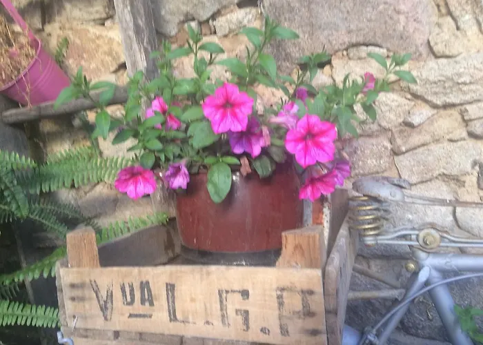 Amparo * מוגאראז