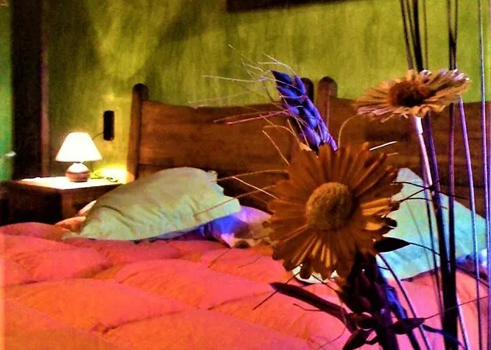 Amparo * מוגאראז